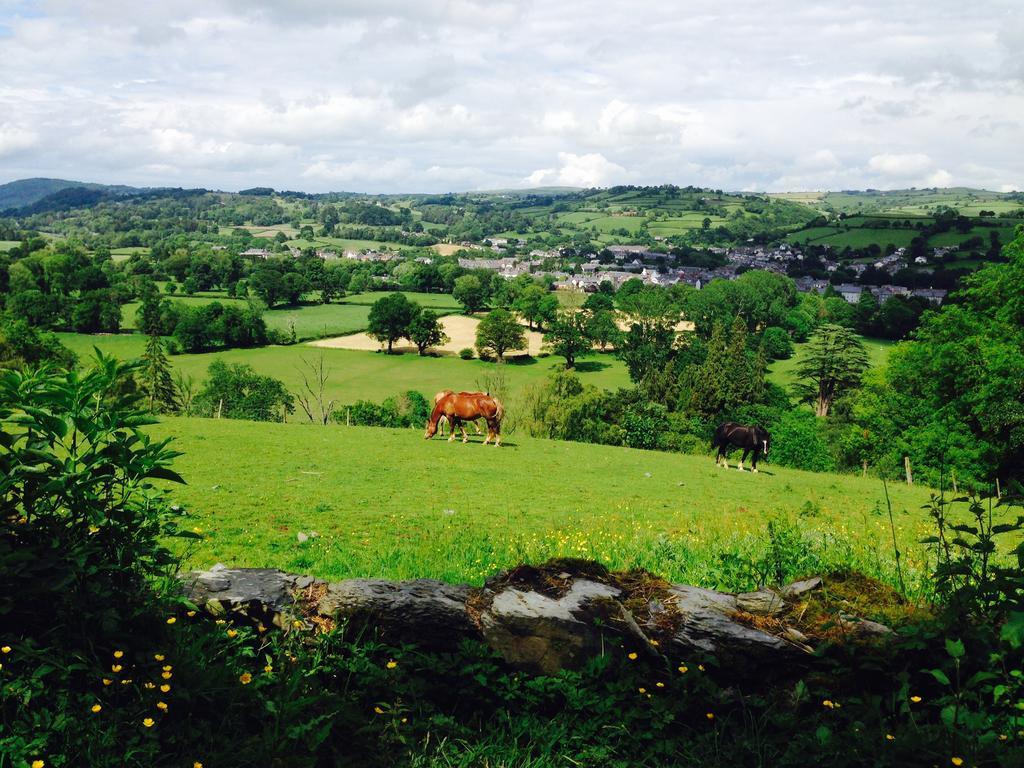 The Eagles Hotel Llanrwst